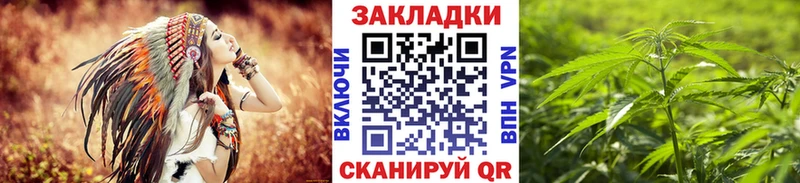 Галлюциногенные грибы Старая Купавна
