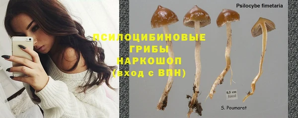 spice Алзамай