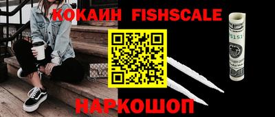 крисы Партизанск