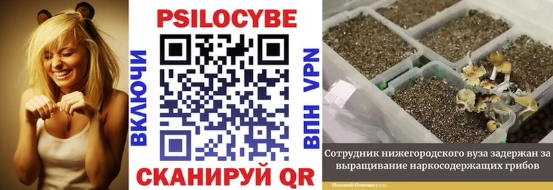 Галлюциногенные грибы MAGIC MUSHROOMS  мориарти состав  mega маркетплейс  Старая Купавна  закладка 