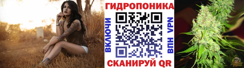 hydra ТОР  Старая Купавна  Канабис OG Kush  наркотики 